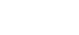 Prince Consulting LLC
